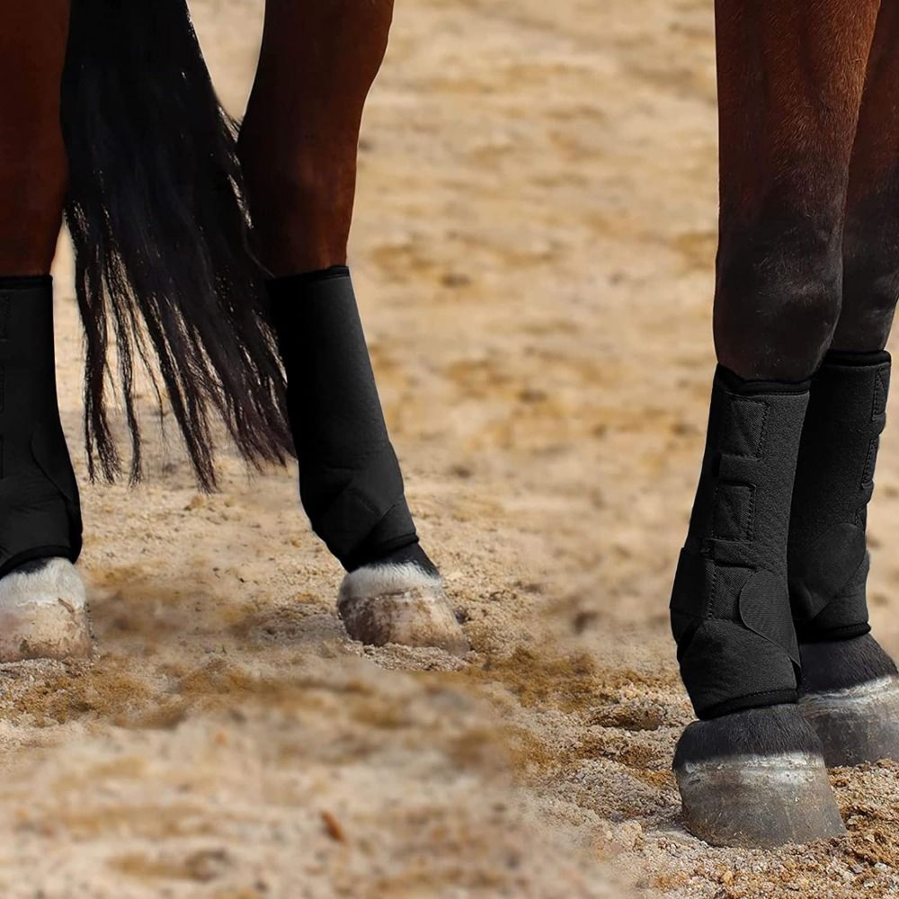 Brushing Boot Horse - 4'lü Set Renkli At Spor Botları