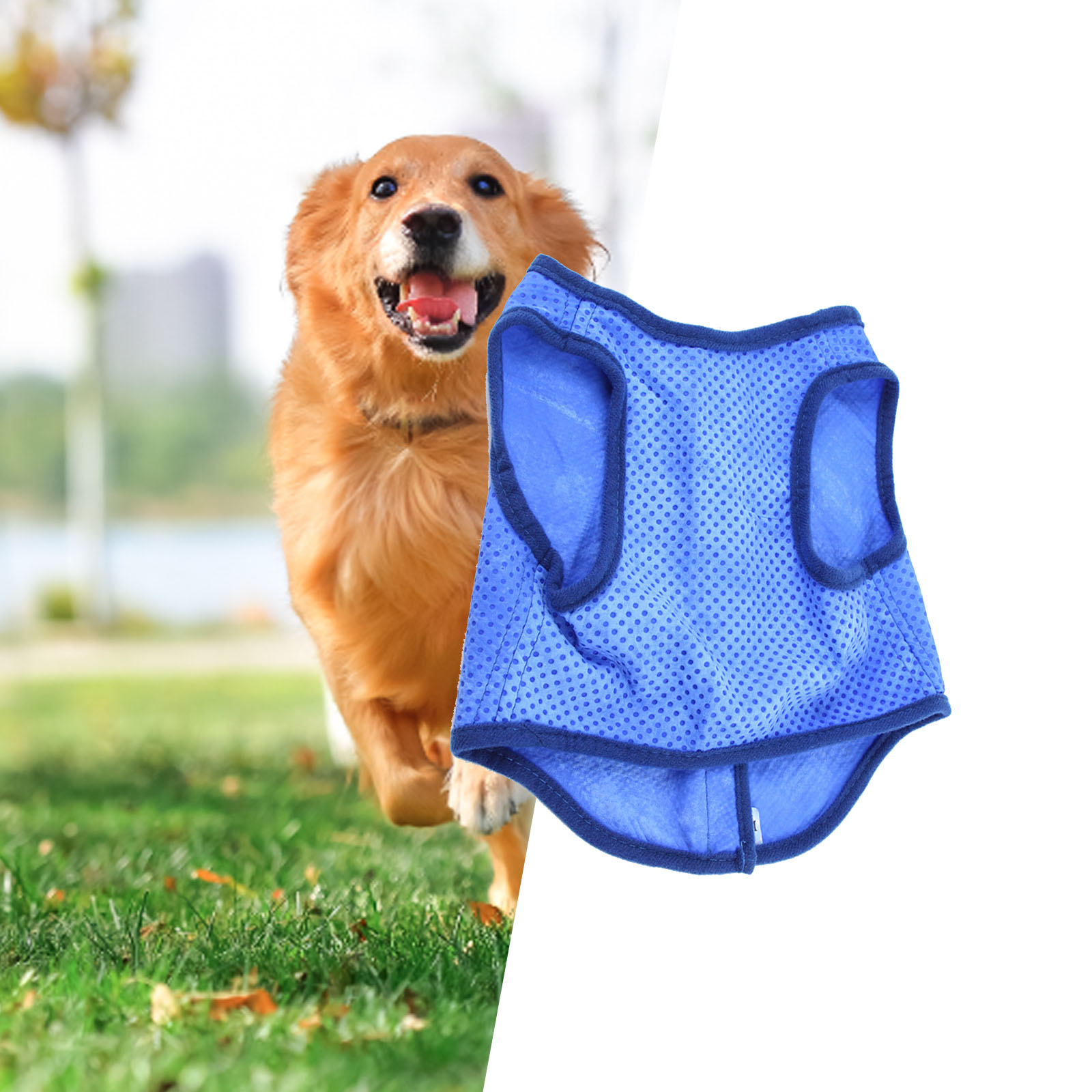 Köpek soğutma yeleği nefes yaz - Outdoor Sport Coat incelemesi ve fiyatı