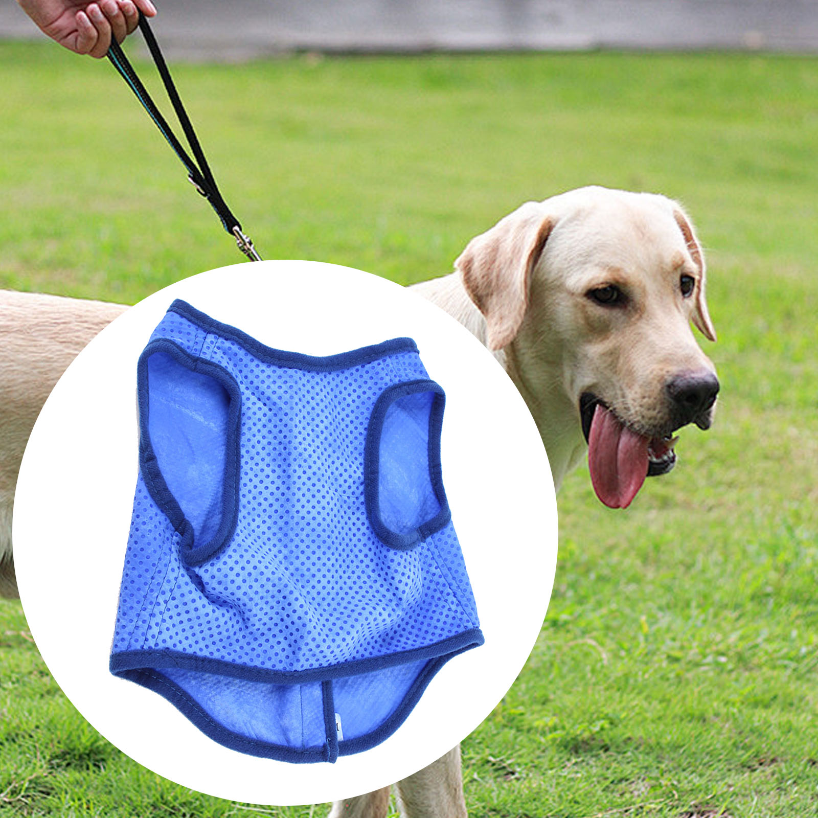 Köpek soğutma yeleği nefes yaz - Outdoor Sport Coat incelemesi ve fiyatı