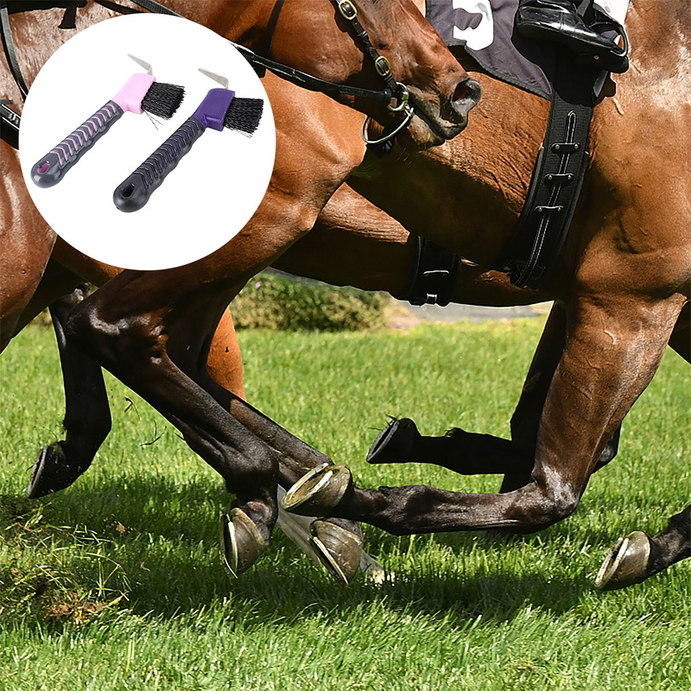 2 adet at toynak temizleme fır - Brushing Boot Horse incelemesi ve fiyatı