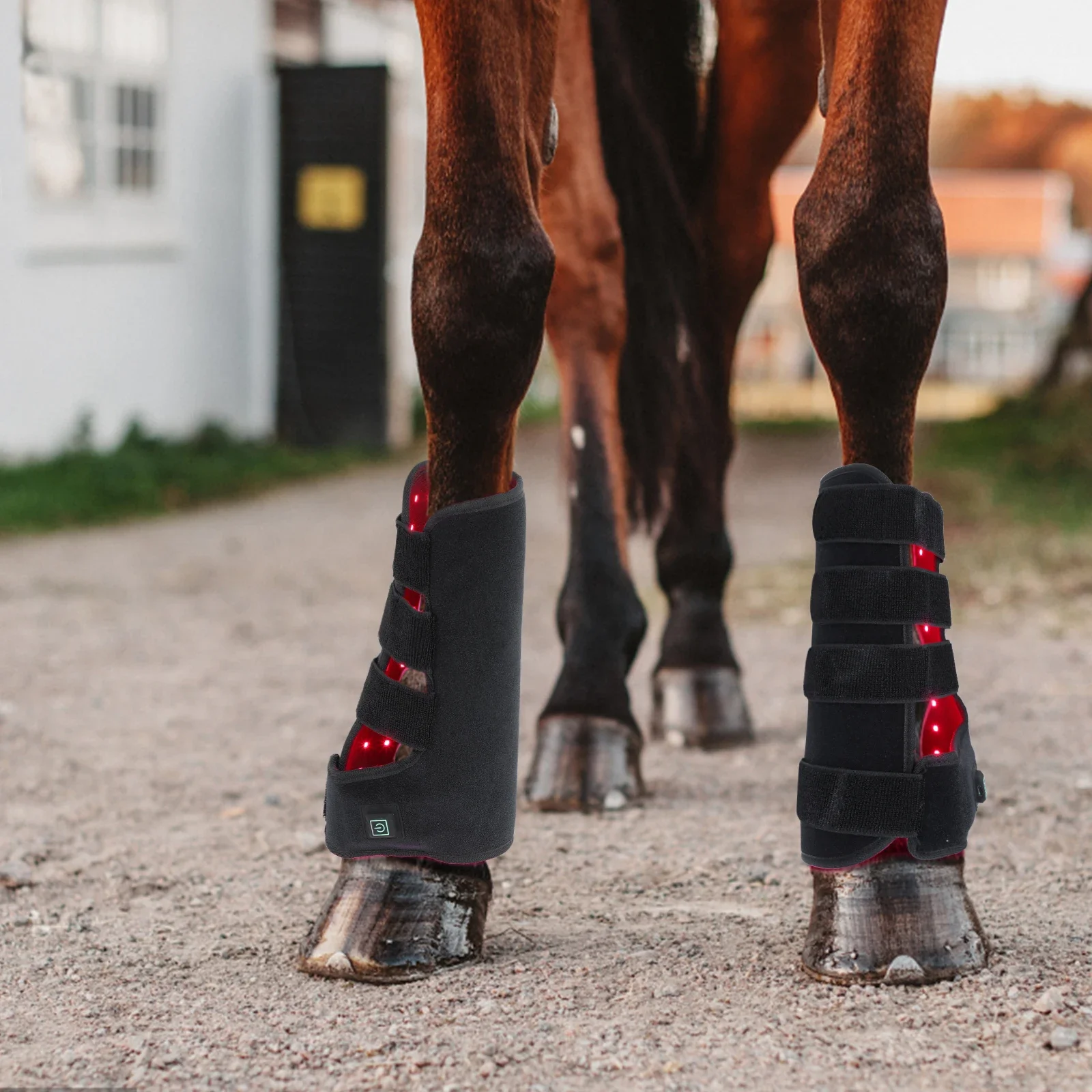 Yeni 660nm 850nm Kırmızı ışık  - Brushing Boot Horse incelemesi ve fiyatı