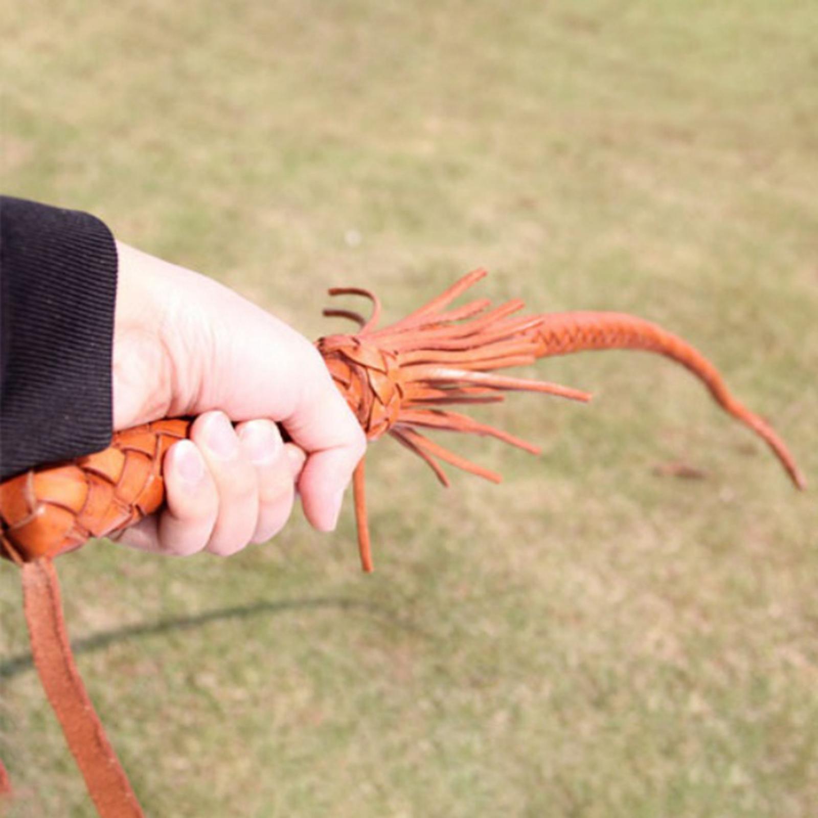 Açık Hava PU Deri Binicilik Kı - Riding Crop Dressage incelemesi ve fiyatı